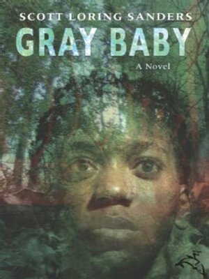 cover image of Gray Baby